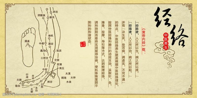 足部经络穴位图图片素材