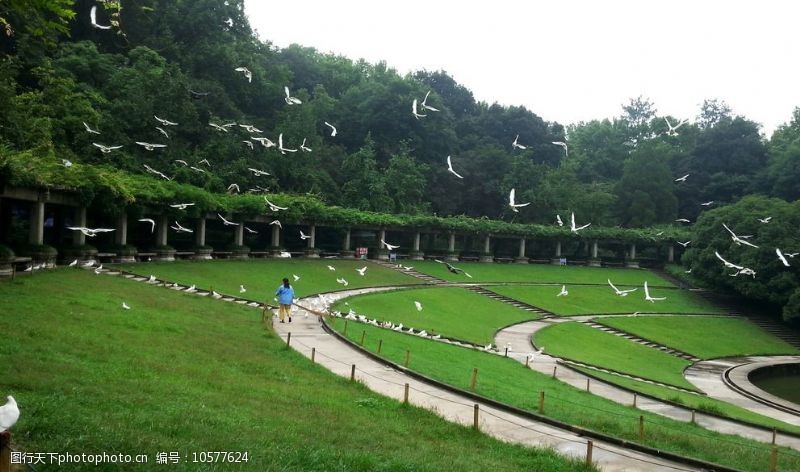 南京中山陵音乐台图片素材