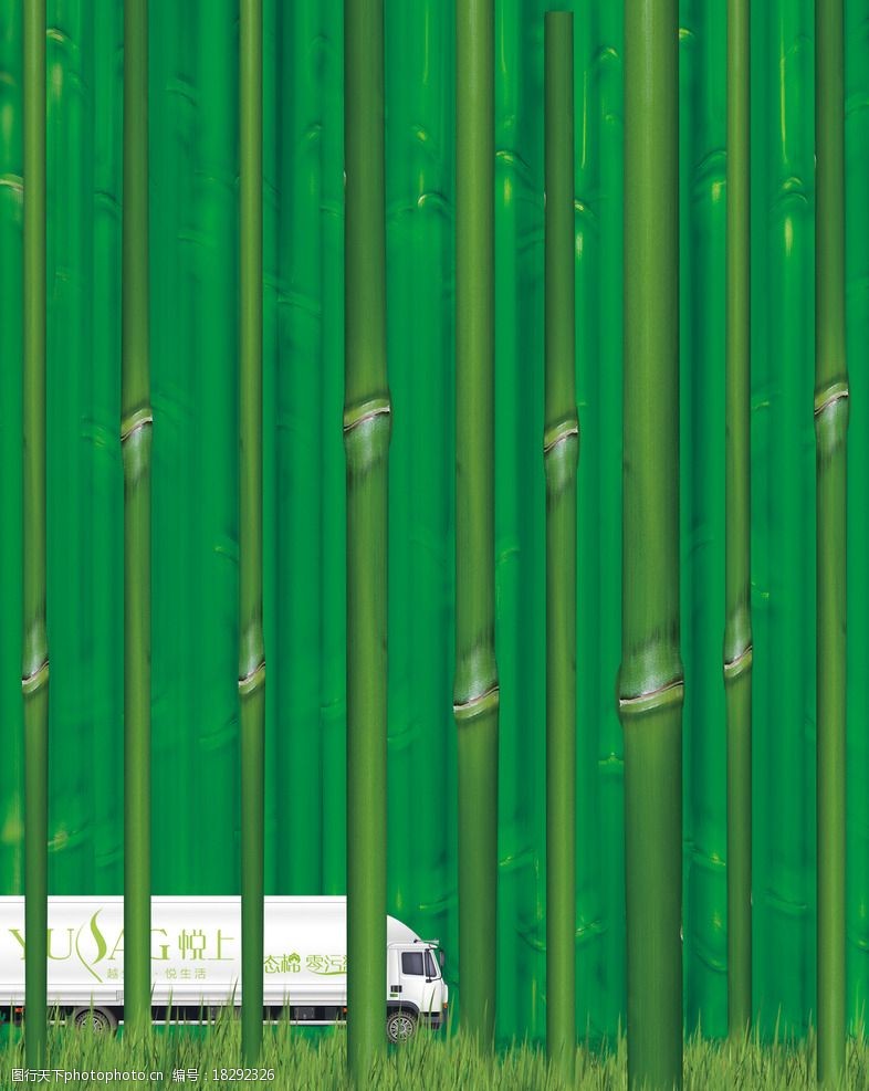 木棉树创意绿色生态棉卫生巾图片