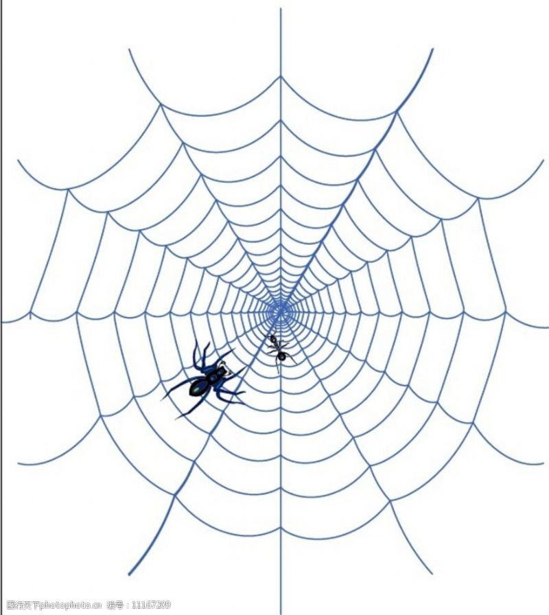 轮廓蜘蛛图片
