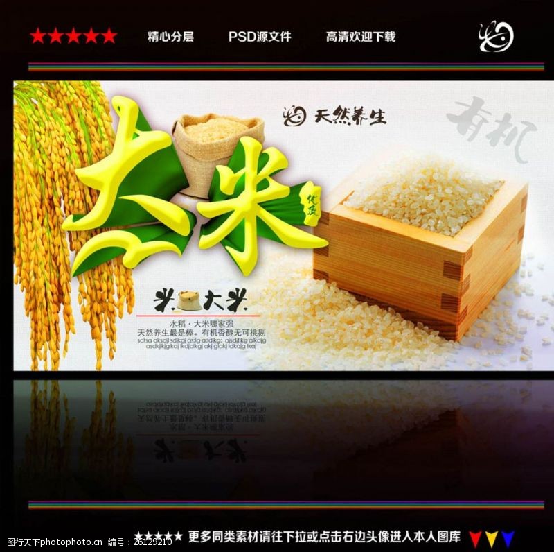 五谷杂粮米稻米