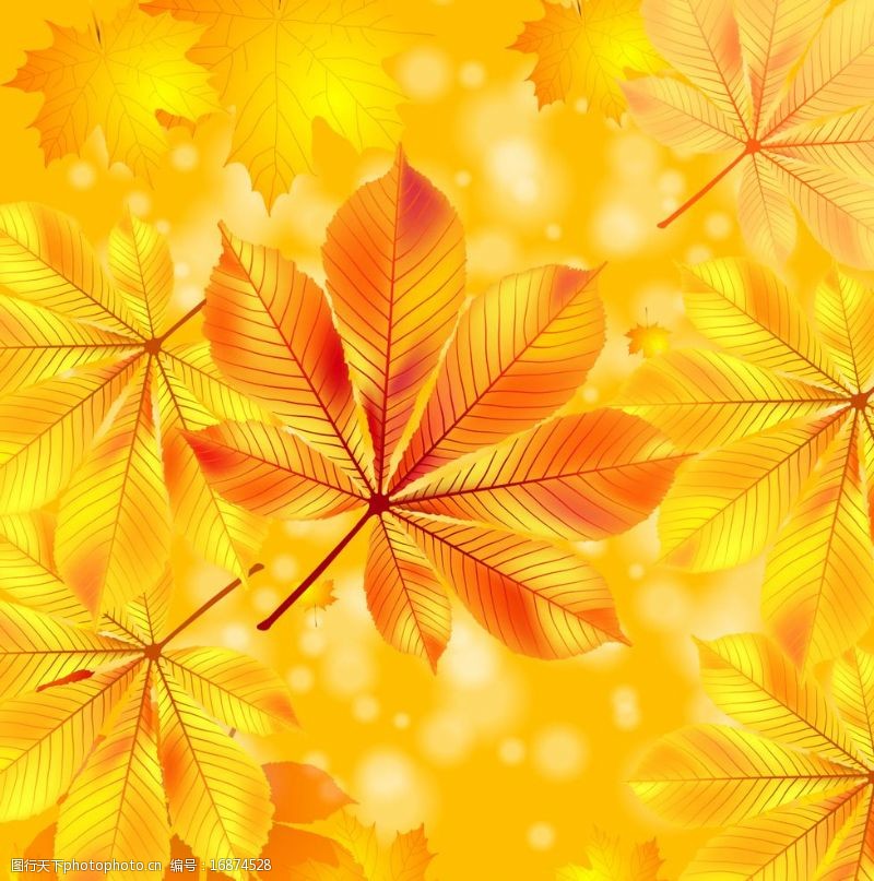 温馨底纹金色树叶背景矢量图片