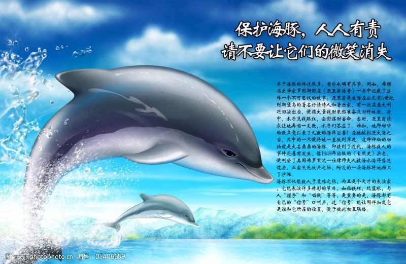 原创蓝色展板保护海豚宣传海报