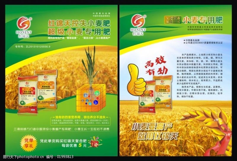红锦天小麦控失肥宣传单