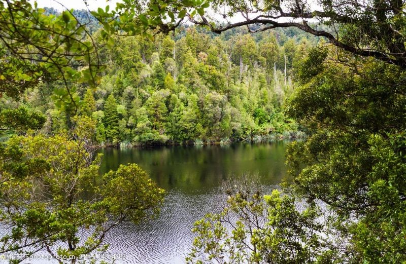 清澈新西兰马修森湖图片