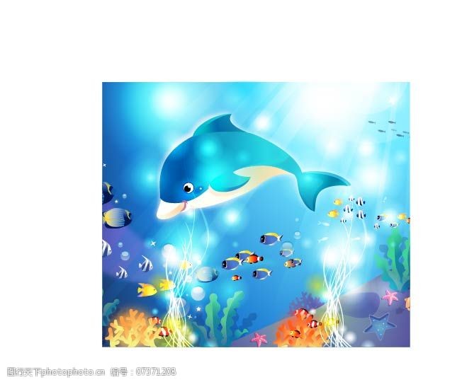 海豚免费下载海洋动物