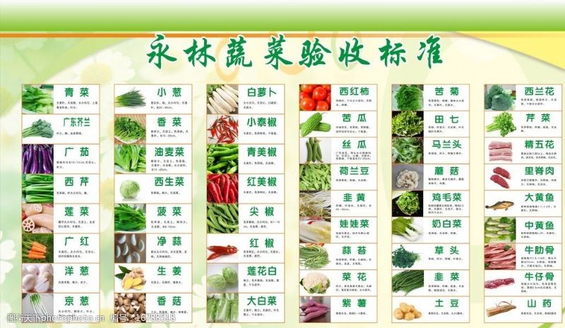 标准色蔬菜验收标准图片