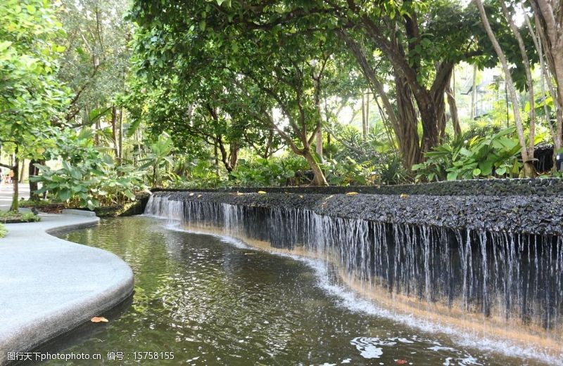 新加坡植物园小瀑布图片