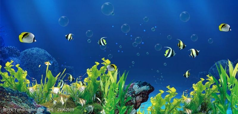 鱼缸背景海底世界小鱼海藻