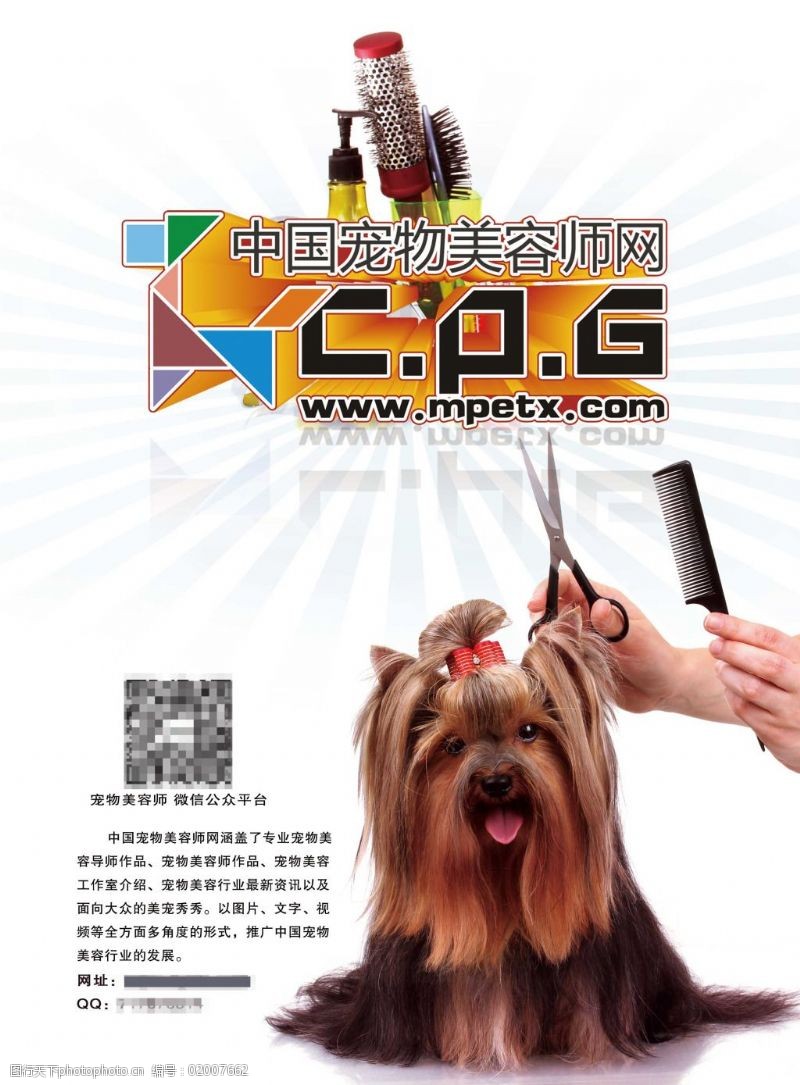 中国宠物网中国宠物美容师网