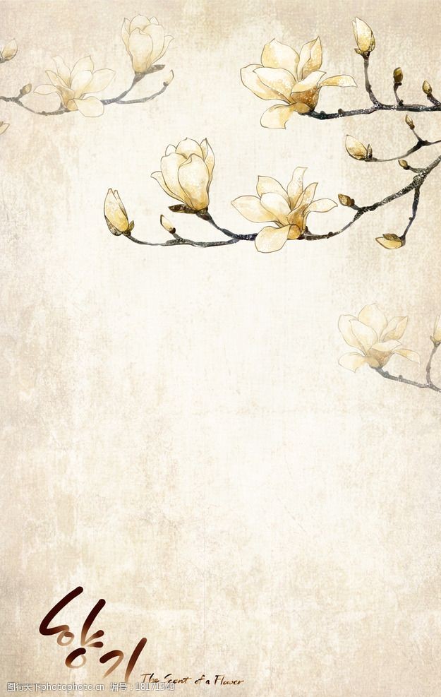 黄玫瑰花花卉海报图片