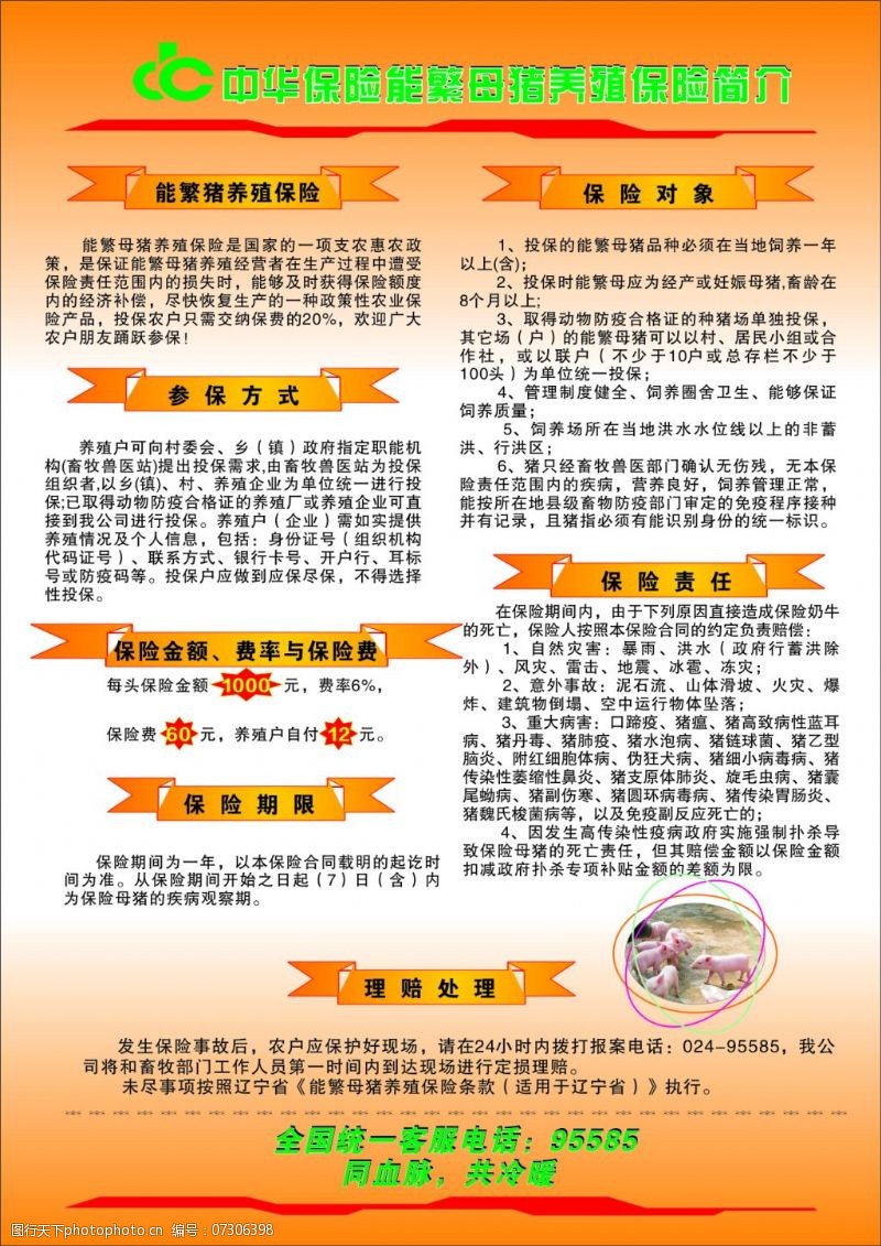 中华保险免费下载育肥猪宣传单