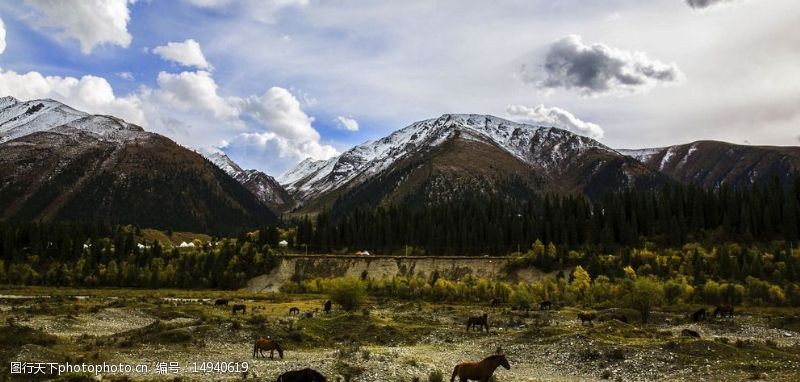 新疆风景乔尔玛图片