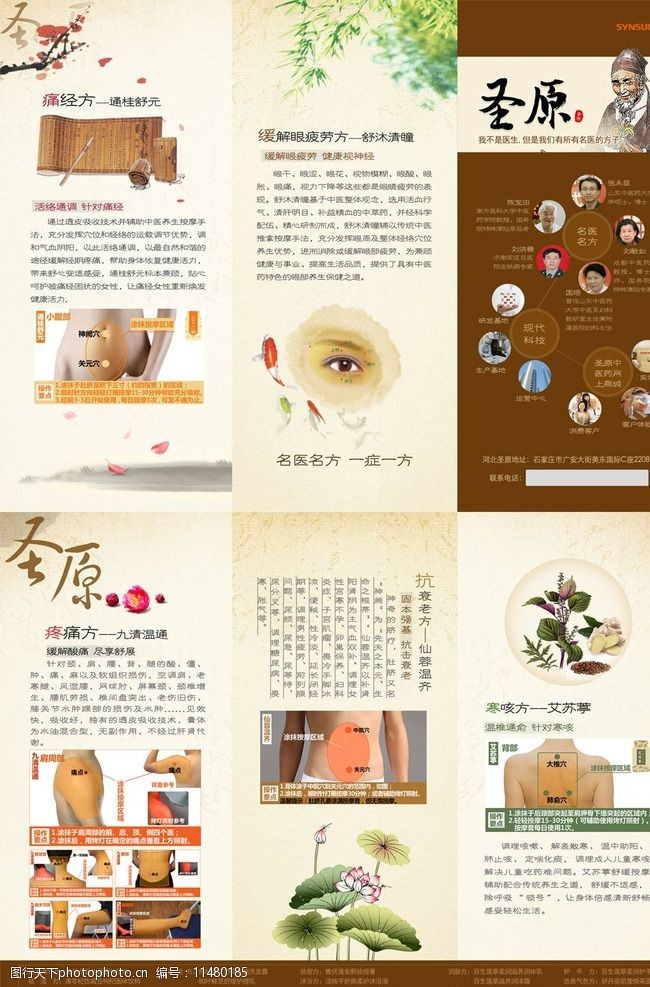 仙蓉温齐圣原产品介绍三折页图片