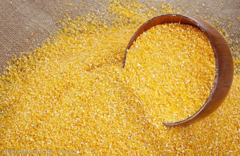 玉米糁玉米茬子图片