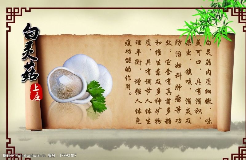 相框海报蘑菇中国风图片