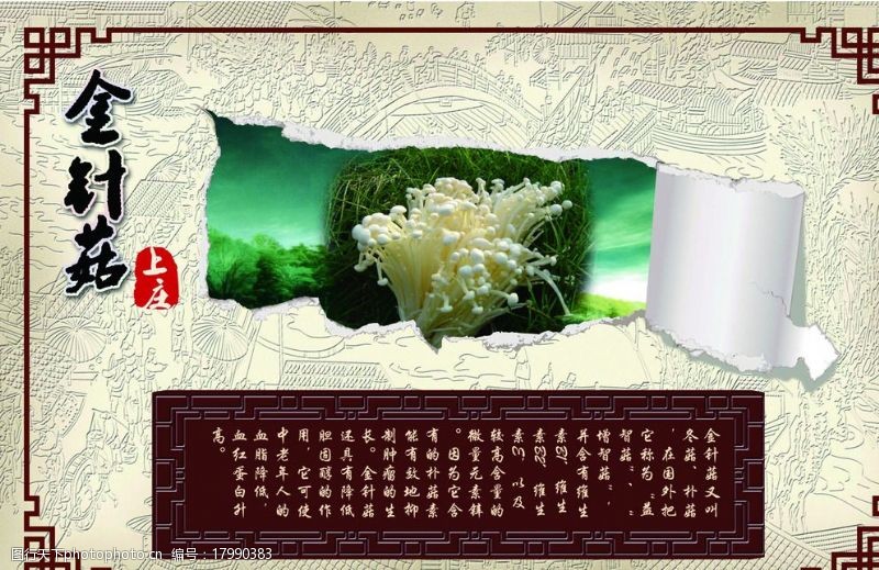 相框海报中国风蘑菇撕纸效果图片