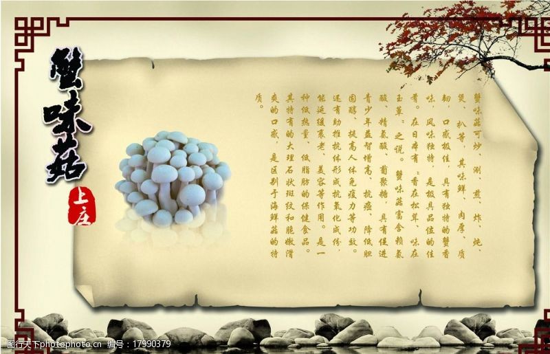 相框海报中国风蘑菇图片