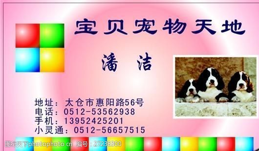 宠物名片宠物类名片模板CDR4447