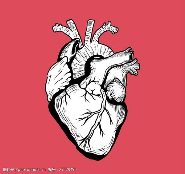 左心房手绘心脏设计