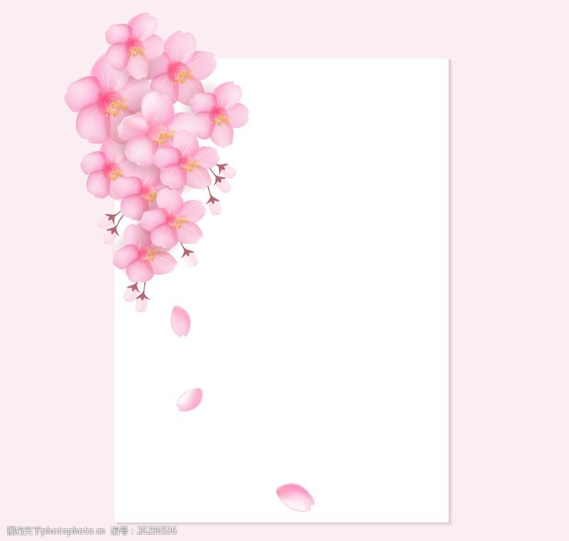 樱花装饰白色纸张
