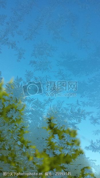 霜窗口车树冰冷冷玻璃玻璃冰冬天磨砂