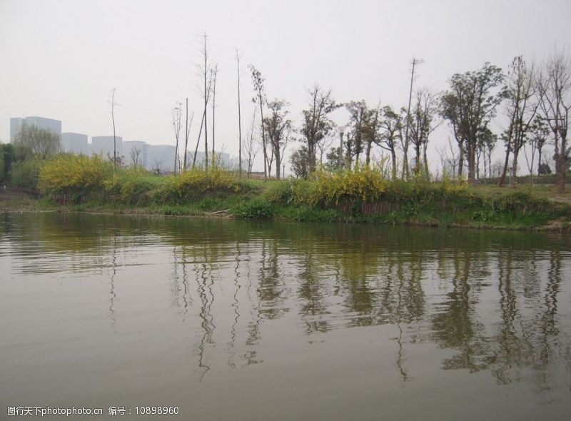 尚贤河湿地公园图片