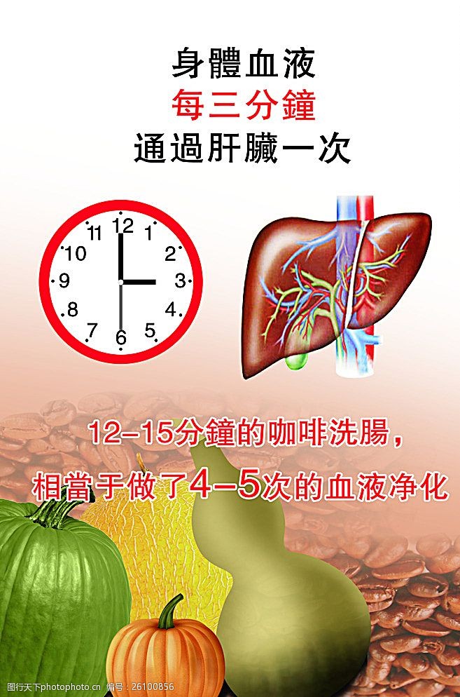 身体器官肝脏海报图片