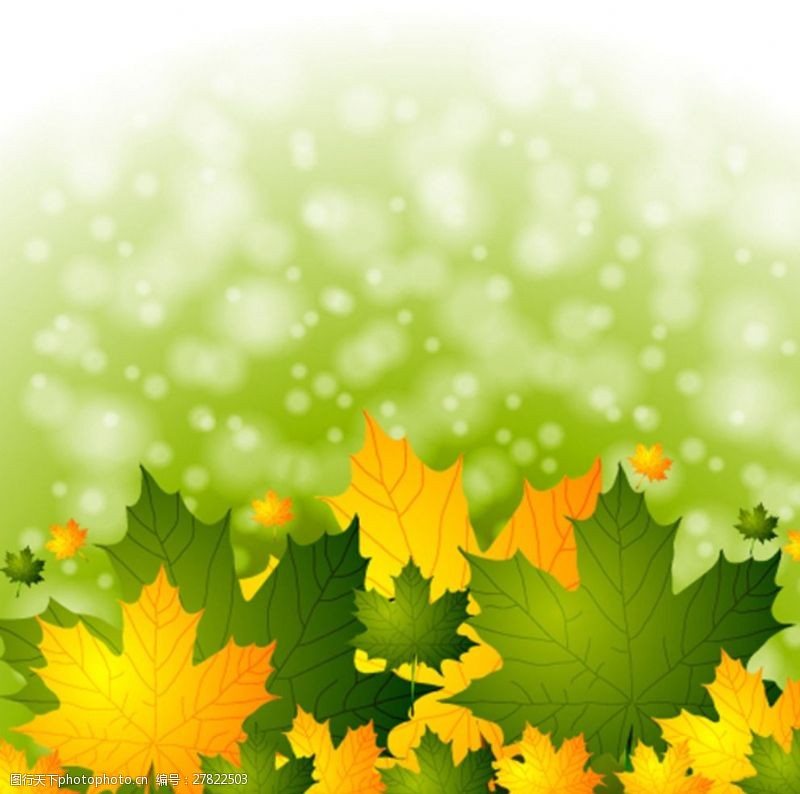 秋季梦幻树叶背景绿色枫叶背景