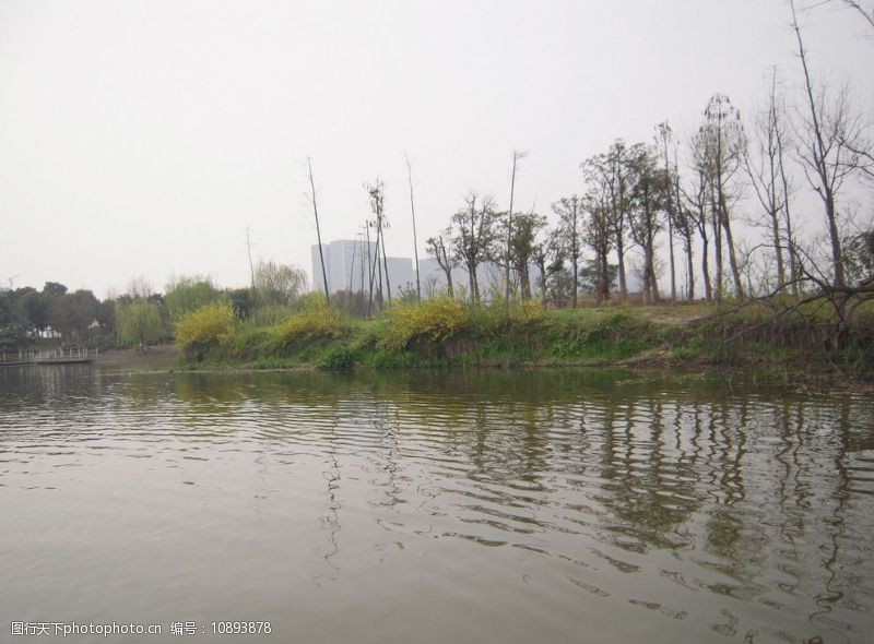 尚贤河湿地公园图片