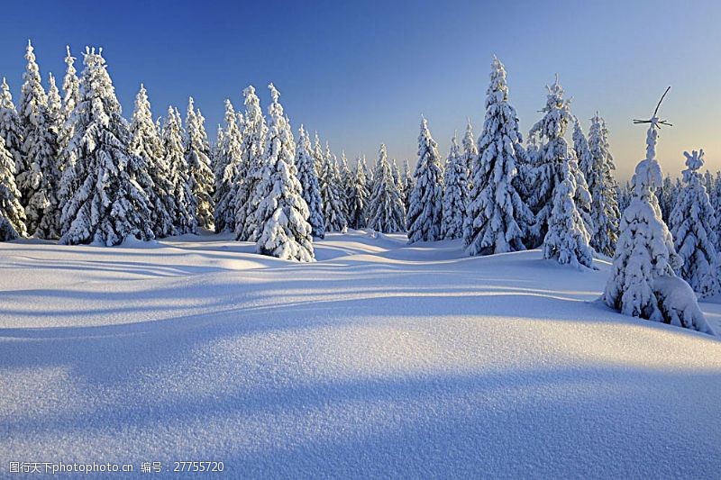 圣诞节风景冬天雪景背景素材