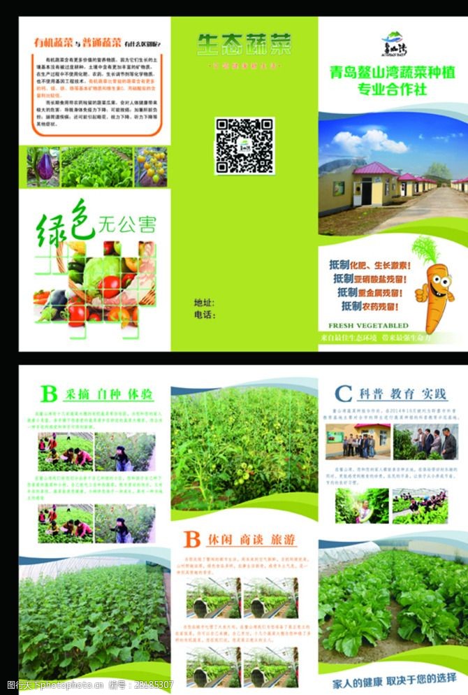 蔬菜三折页蔬菜合作社三折页图片