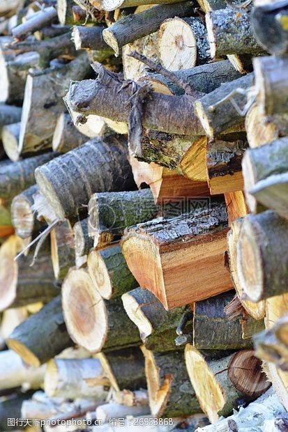 木柴堆积着的木材