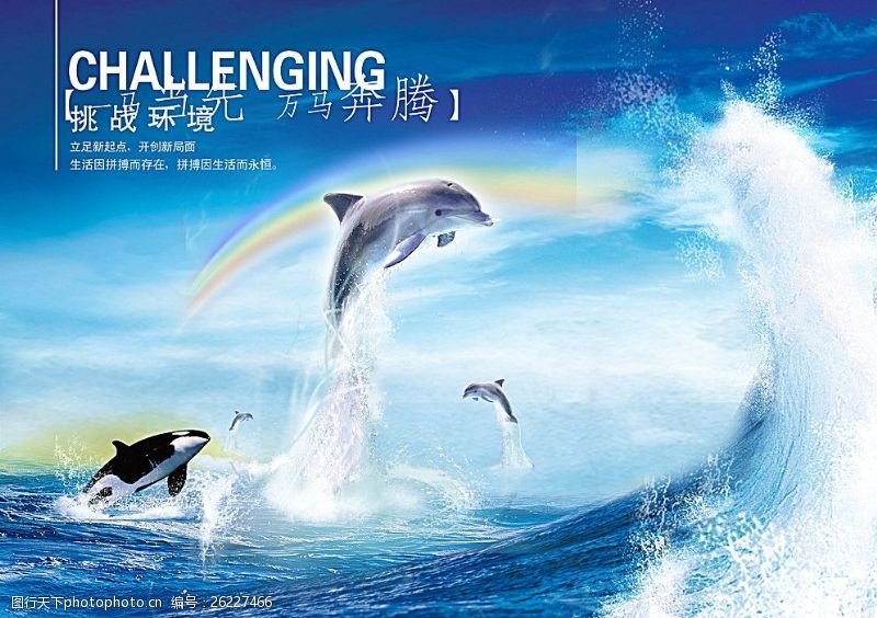 海豚飞跃海洋图片