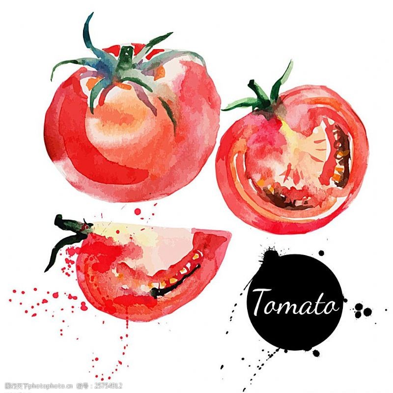 笔触水彩蔬菜西红柿图片