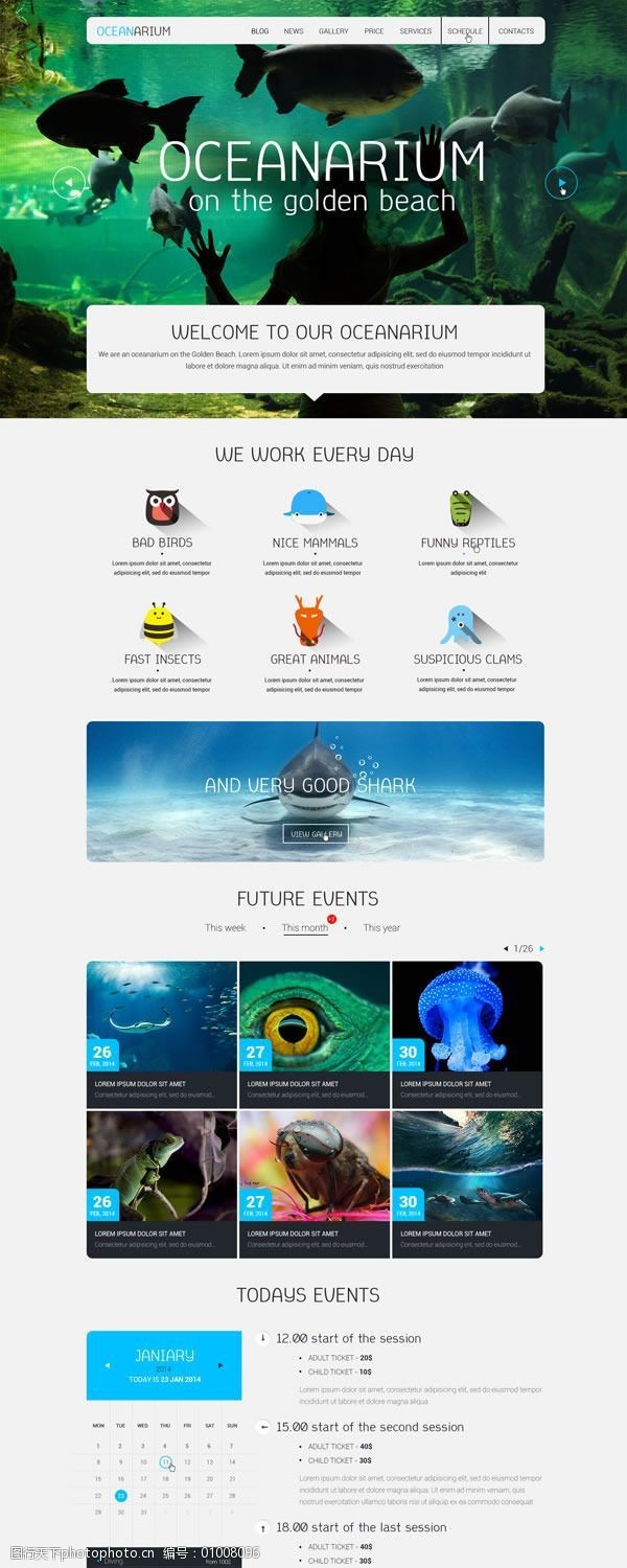 圆形海洋免费下载海洋馆网站模板psd素材