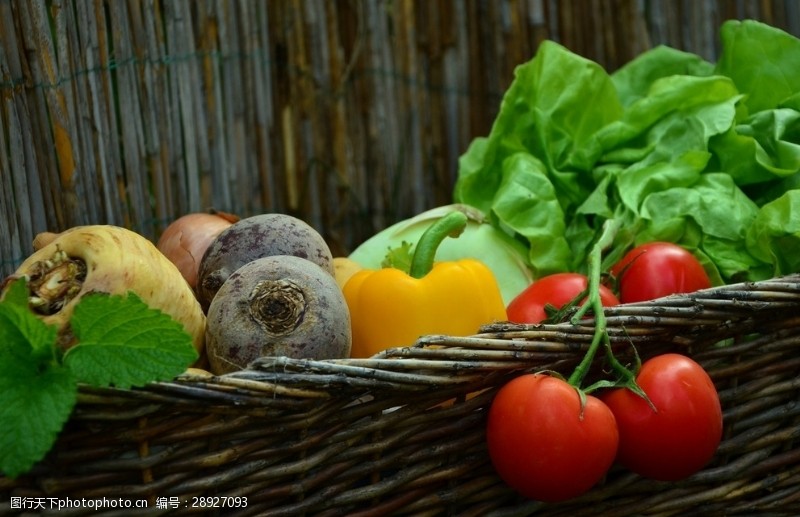 绿色蔬菜展架素材菜篮子
