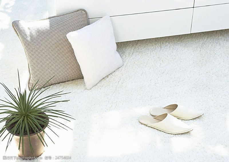 沙发与地毯地毯上的抱枕与拖鞋