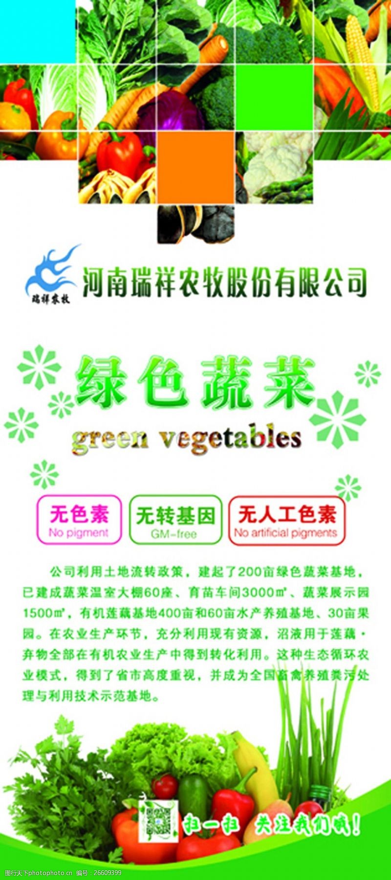绿色蔬菜展架素材绿色蔬菜