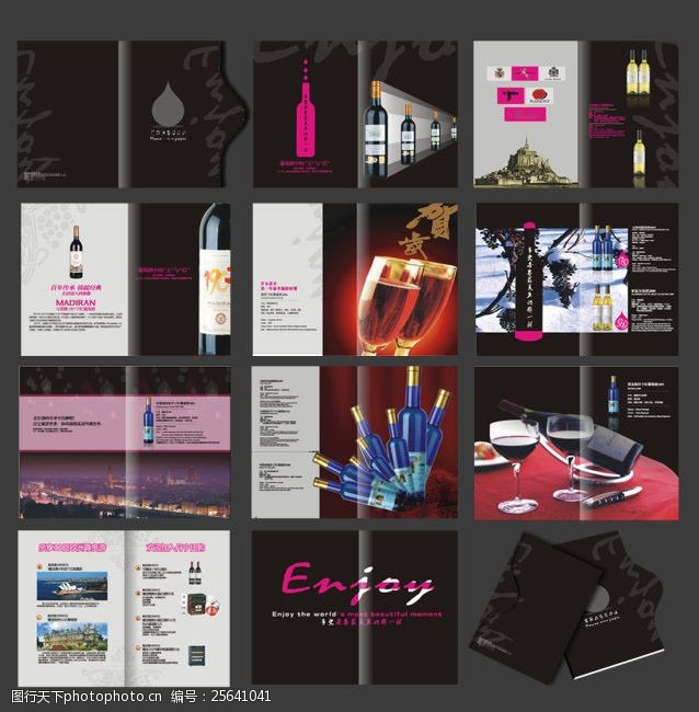 红葡萄酒洋酒宣传画册设计矢量素材