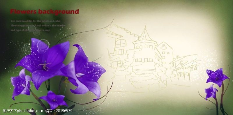 婚礼卡片紫色浪漫花纹花朵海报背景