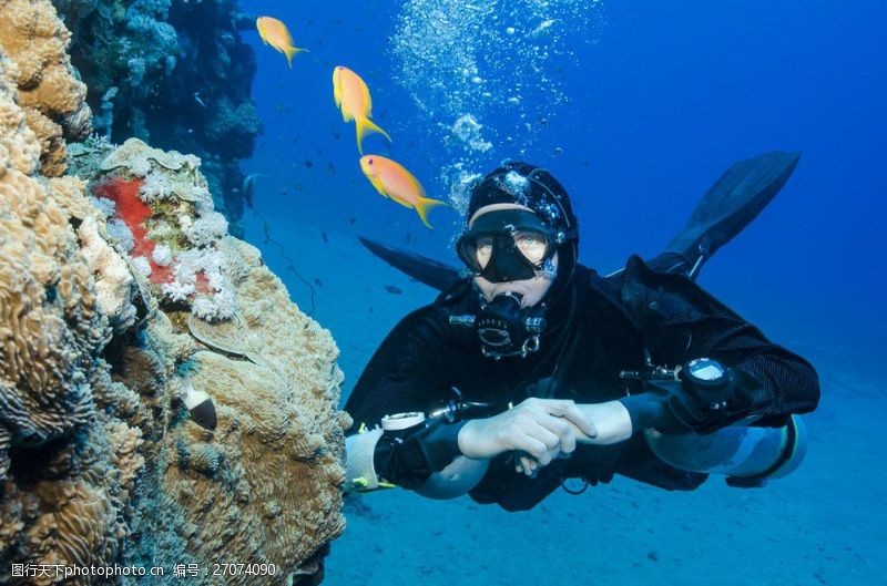 潜水运动潜水员前面的珊瑚