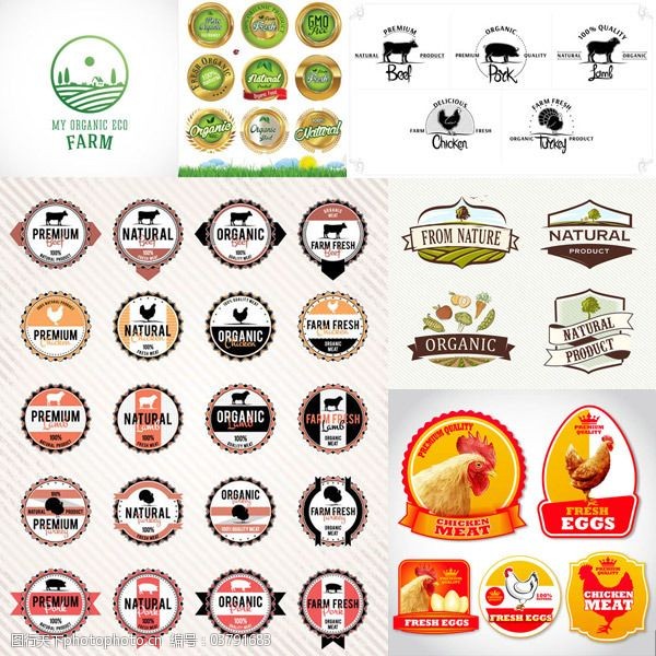 金蛋底图免费下载健康食品标签