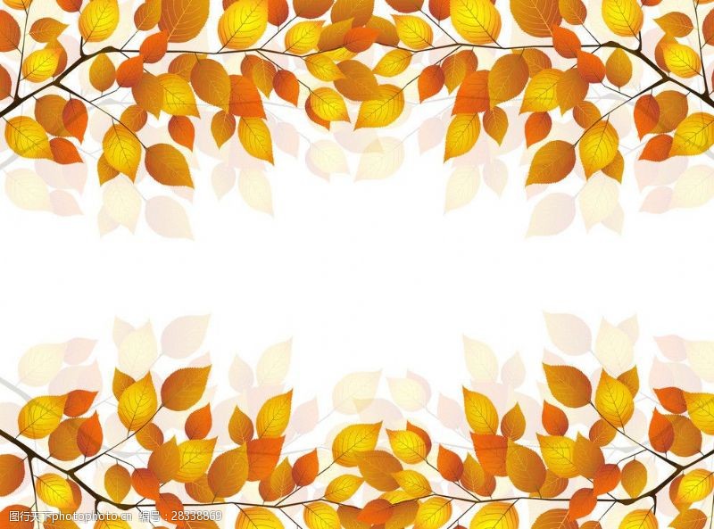 秋季梦幻树叶背景金黄树叶图片