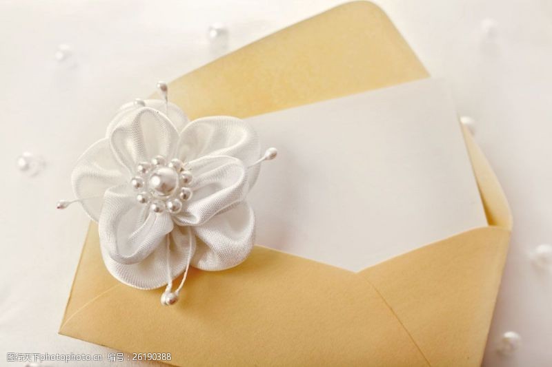 婚庆卡片信封与珍珠花图片素材