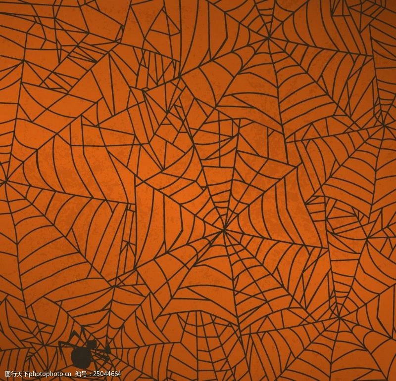 蜘蛛和蜘蛛网矢量素材