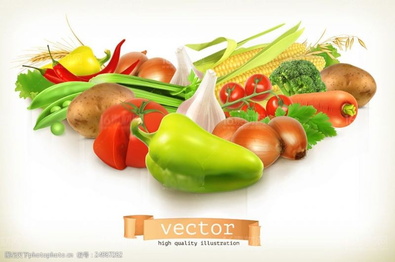 米白新鲜的蔬菜设计矢量素材