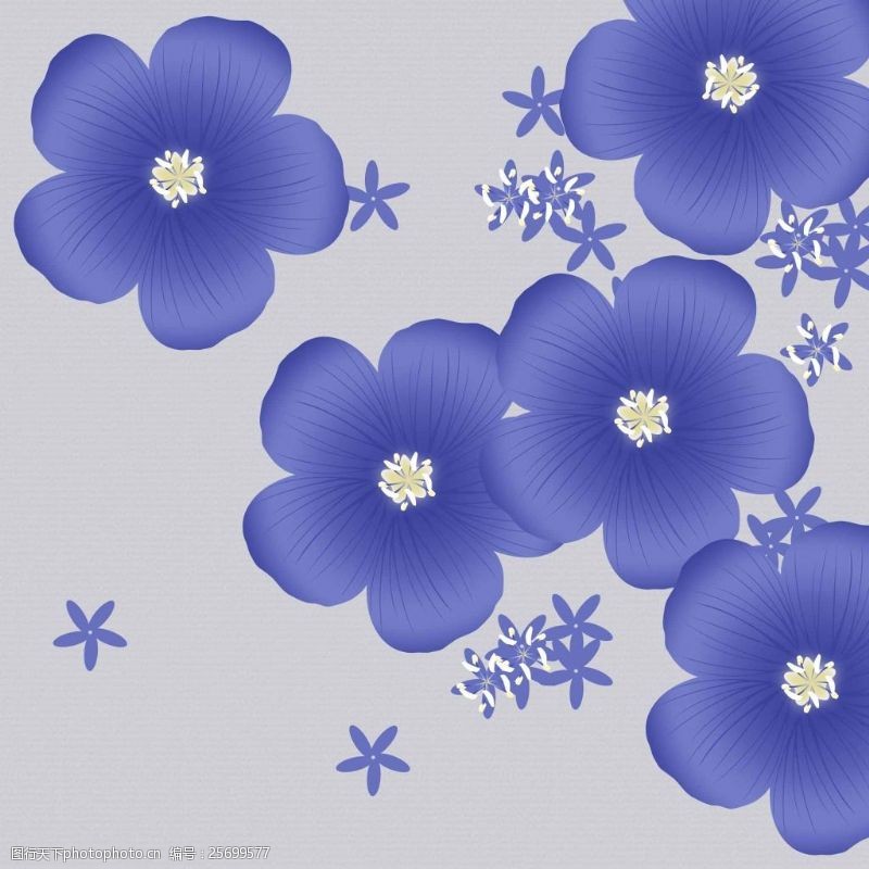 蓝紫色花花