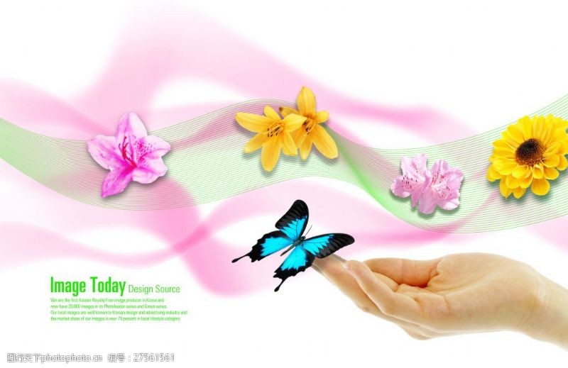 yes手势花朵线条与指尖的蝴蝶PSD分层素材
