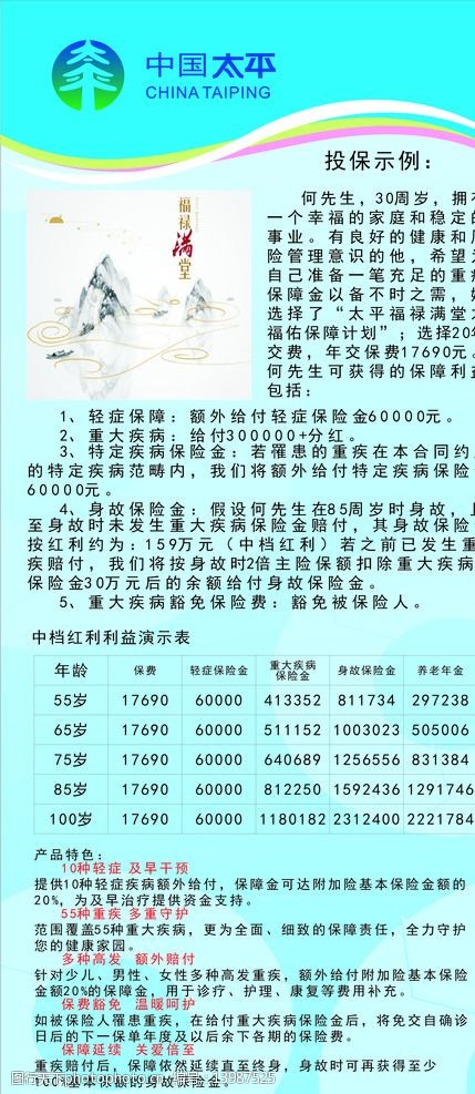 中国人寿太平展架图片